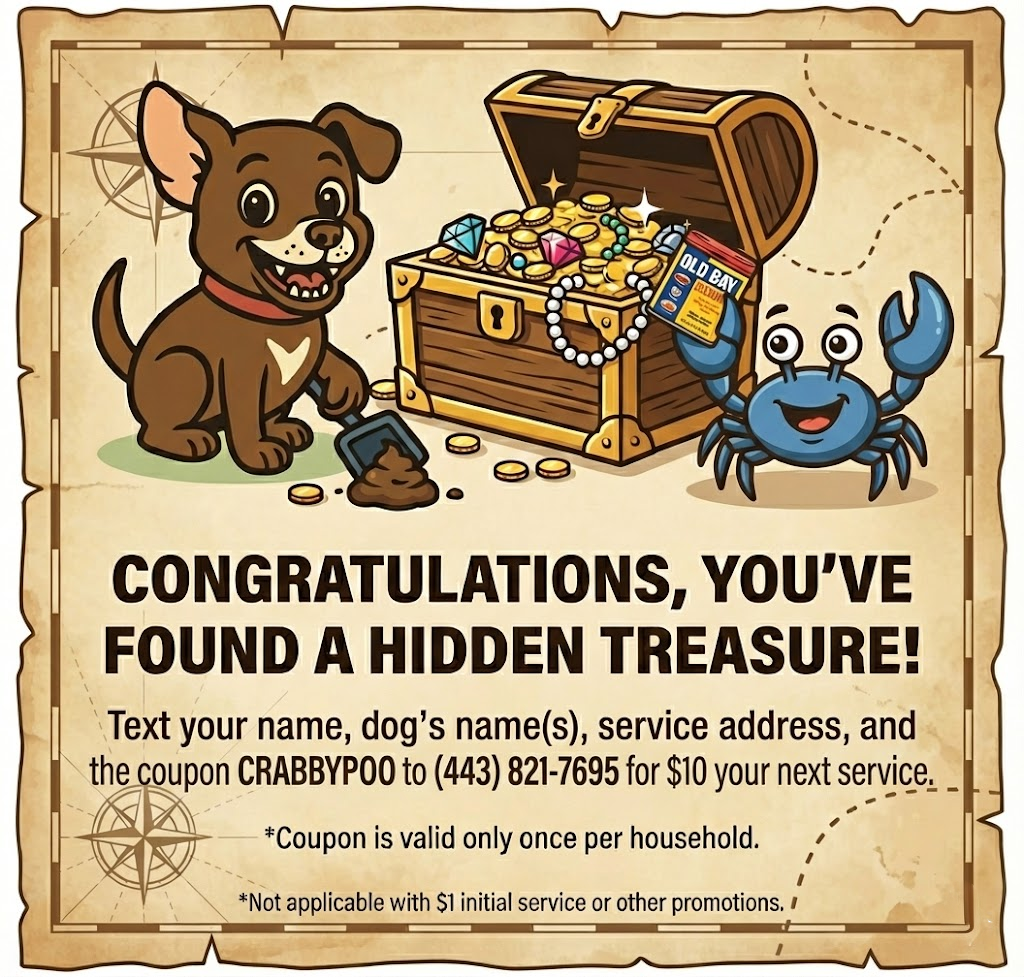Temporary hidden coupon placeholder image